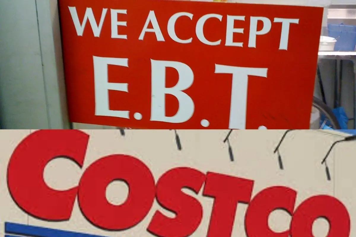 Does Costco Take EBT In 2022? (What You Can & Can't Do)