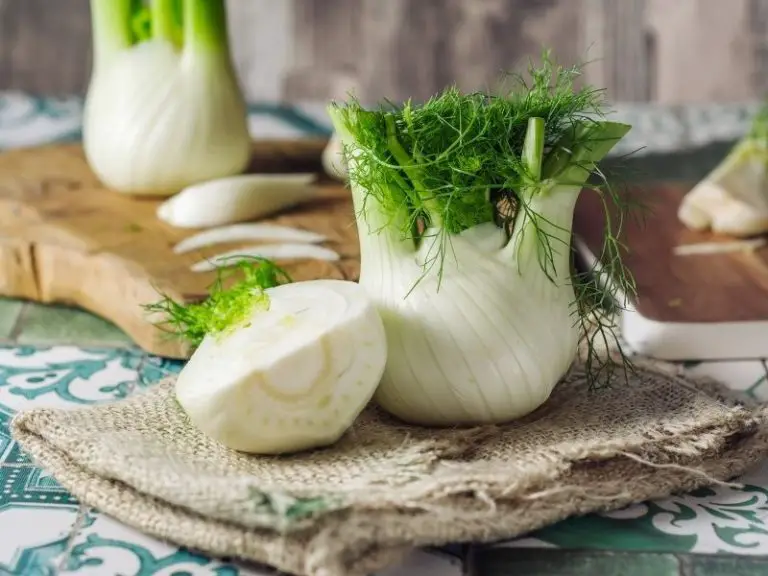 What Does Fennel Taste Like? How To Use It? Grocery Store Dive