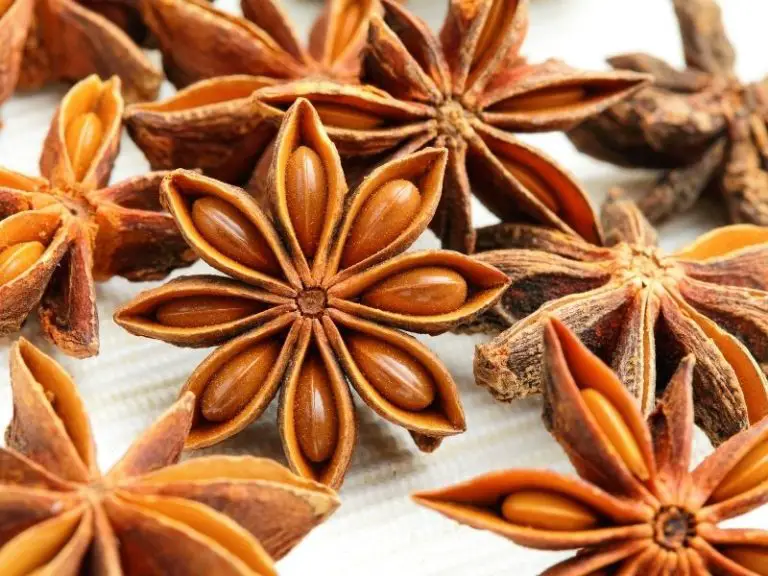 Where to Find And Buy Star Anise in the Grocery Store? Grocery Store Dive