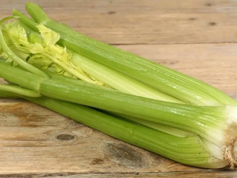 What is the difference between celery and celery hearts? - Grocery ...