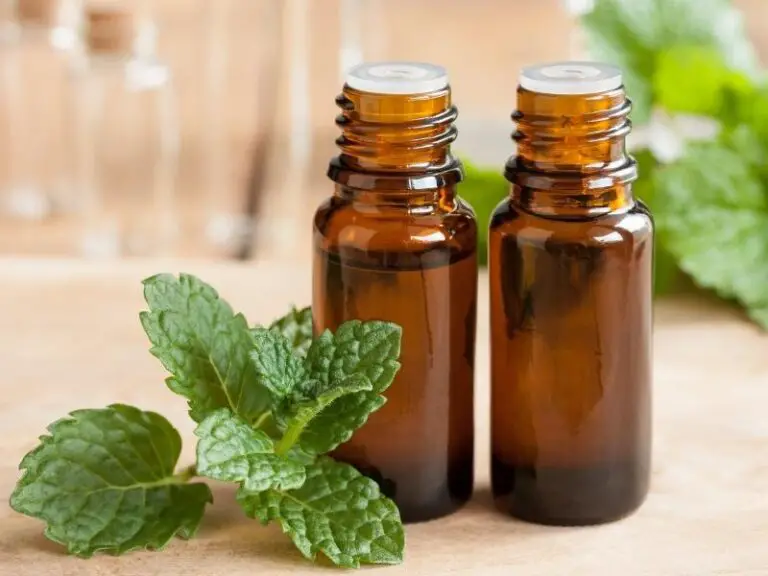 where-to-find-peppermint-oil-in-grocery-stores-grocery-store-dive